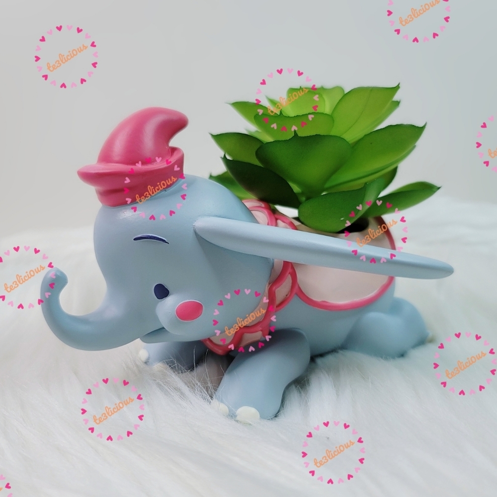 DISNEY JERROD MARUYAMA DUMBO SUCCULENT